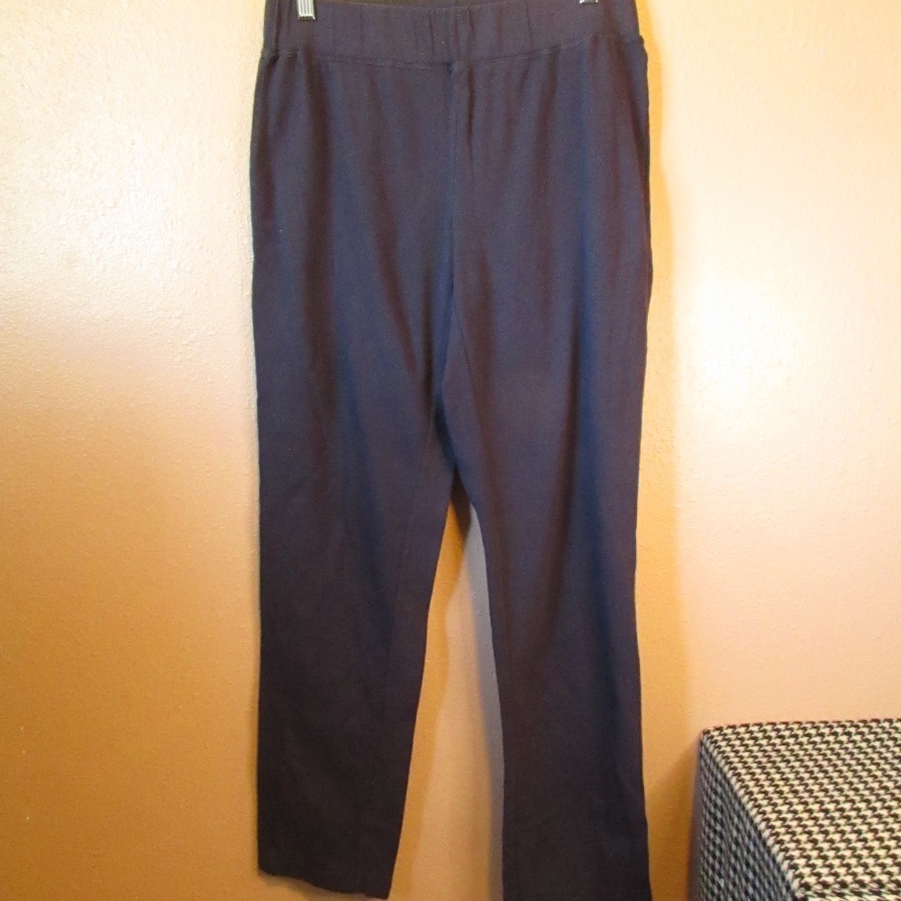 Neon Buddha Navy Light Joggers